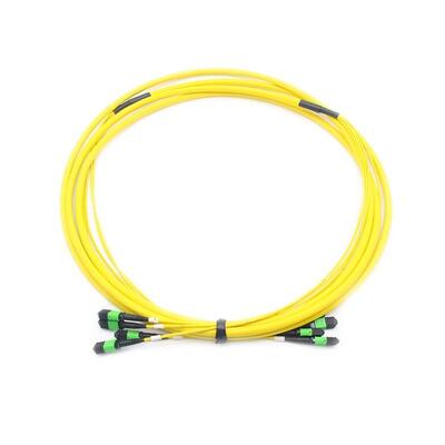 48F MPO/MTP Trunk Cable